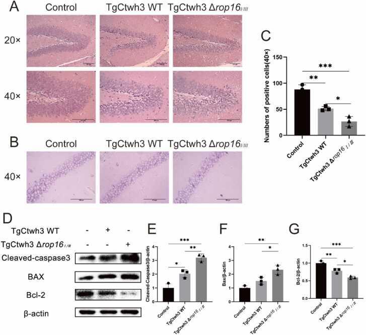 https://cdn.ncbi.nlm.nih.gov/pmc/blobs/033a/12166438/5286b27786d8/gr2.jpg