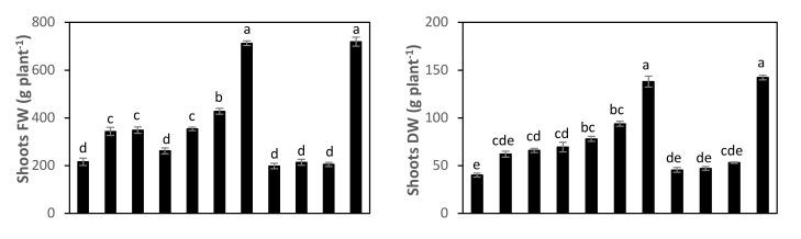 https://cdn.ncbi.nlm.nih.gov/pmc/blobs/033a/8911656/11acf8860c4b/molecules-27-01467-g009a.jpg