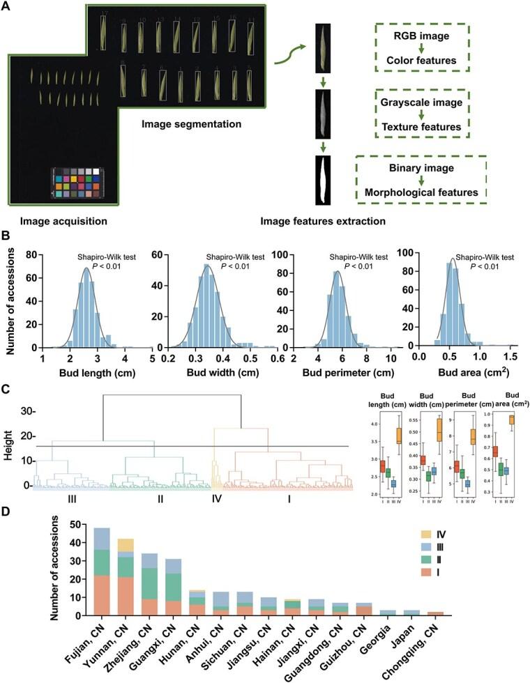 https://cdn.ncbi.nlm.nih.gov/pmc/blobs/033c/12015473/c64dbf790926/uhaf051f1.jpg