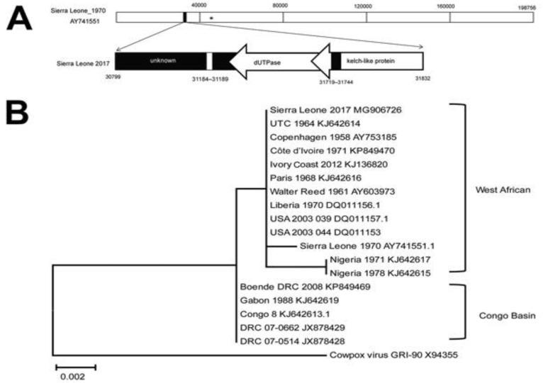 https://cdn.ncbi.nlm.nih.gov/pmc/blobs/033d/10376458/1adcff845530/biomedicines-11-01832-g006.jpg