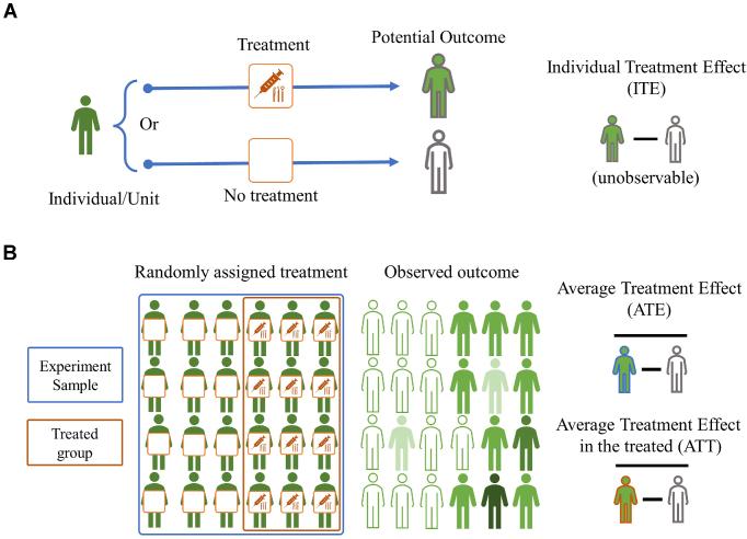 https://cdn.ncbi.nlm.nih.gov/pmc/blobs/0342/10917363/f72854d67606/kkad007fig2.jpg