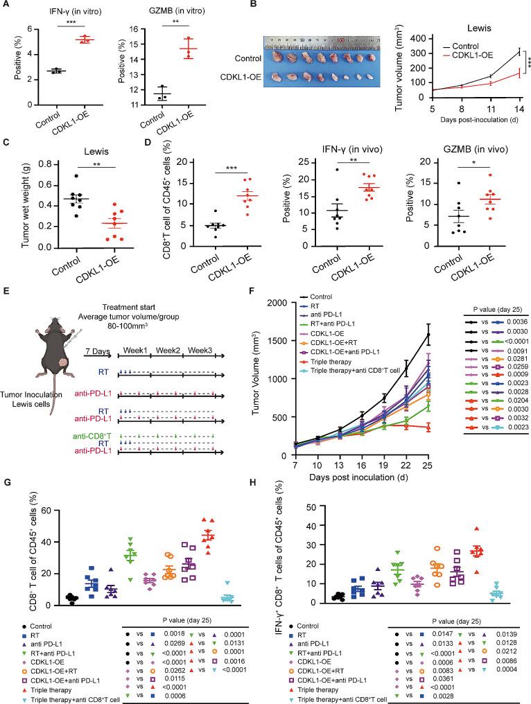 https://cdn.ncbi.nlm.nih.gov/pmc/blobs/0342/10958935/7dcfc81d8f8b/13046_2024_3007_Fig6_HTML.jpg