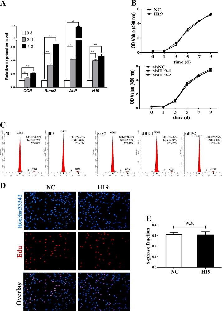 https://cdn.ncbi.nlm.nih.gov/pmc/blobs/0342/6372621/8e05f24ed704/41419_2019_1337_Fig1_HTML.jpg
