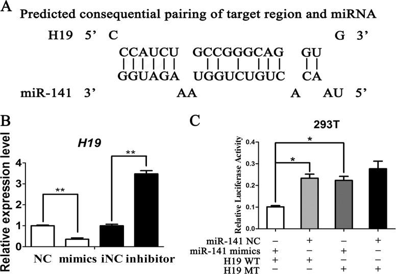 https://cdn.ncbi.nlm.nih.gov/pmc/blobs/0342/6372621/adedc29445b7/41419_2019_1337_Fig4_HTML.jpg