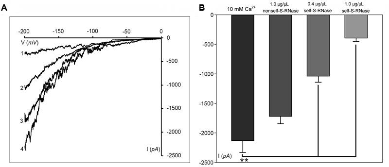 https://cdn.ncbi.nlm.nih.gov/pmc/blobs/0344/5498517/742c63db2197/fpls-08-01164-g002.jpg