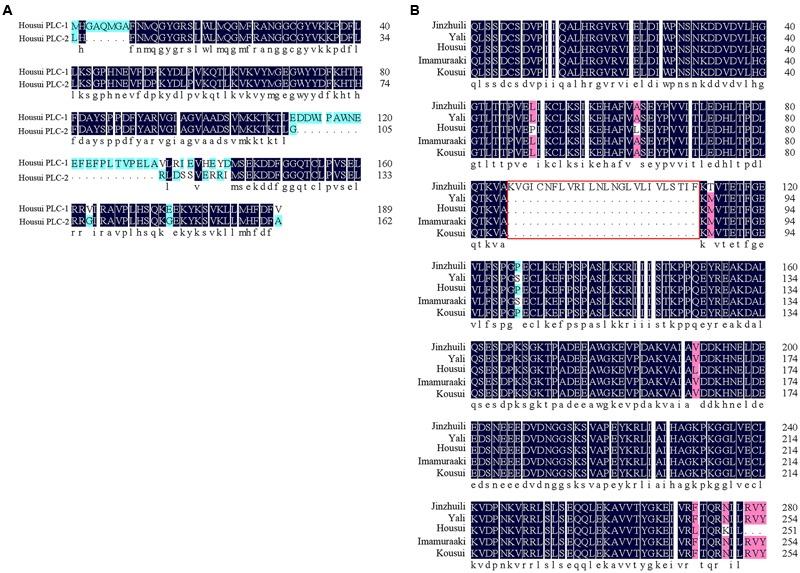https://cdn.ncbi.nlm.nih.gov/pmc/blobs/0344/5498517/a709c5022521/fpls-08-01164-g007.jpg