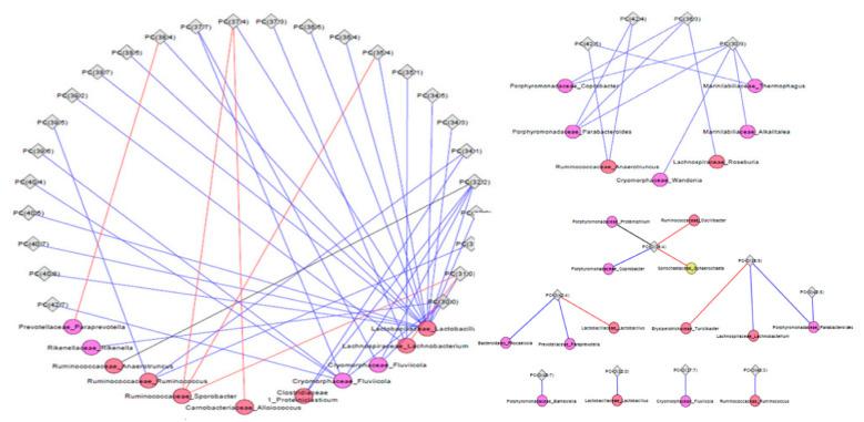 https://cdn.ncbi.nlm.nih.gov/pmc/blobs/0345/8625434/34ad5fbb2af7/metabolites-11-00779-g005.jpg