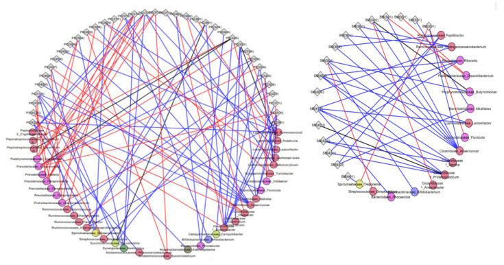 https://cdn.ncbi.nlm.nih.gov/pmc/blobs/0345/8625434/5ce7c80aa643/metabolites-11-00779-g007.jpg