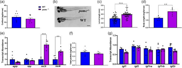 https://cdn.ncbi.nlm.nih.gov/pmc/blobs/0346/11649959/59677ea1aa51/JCP-239-0-g003.jpg