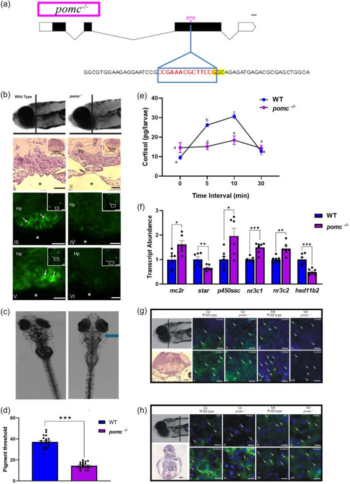 https://cdn.ncbi.nlm.nih.gov/pmc/blobs/0346/11649959/9eab10cb124d/JCP-239-0-g002.jpg