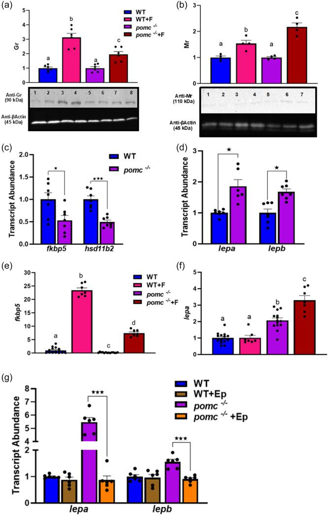 https://cdn.ncbi.nlm.nih.gov/pmc/blobs/0346/11649959/bd46e9e8552d/JCP-239-0-g005.jpg