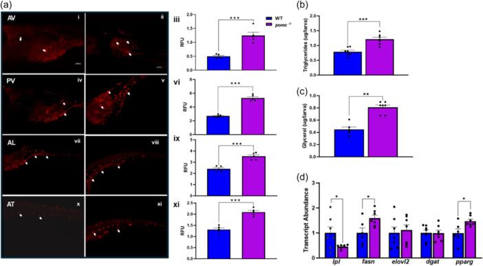 https://cdn.ncbi.nlm.nih.gov/pmc/blobs/0346/11649959/e8e441323af2/JCP-239-0-g001.jpg