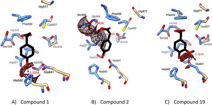 https://cdn.ncbi.nlm.nih.gov/pmc/blobs/0348/10258198/d7ee085f6bb5/41598_2023_32656_Fig7_HTML.jpg