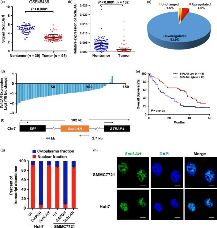 https://cdn.ncbi.nlm.nih.gov/pmc/blobs/0348/5406589/3c59b0f81e94/CAS-108-653-g001.jpg