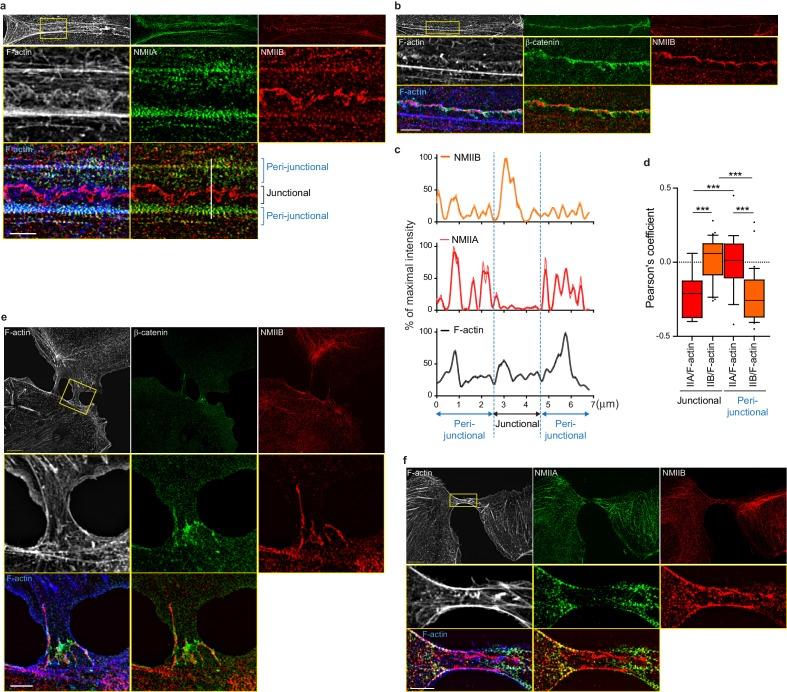 https://cdn.ncbi.nlm.nih.gov/pmc/blobs/0349/6756789/714d15d68f63/elife-46599-fig4.jpg