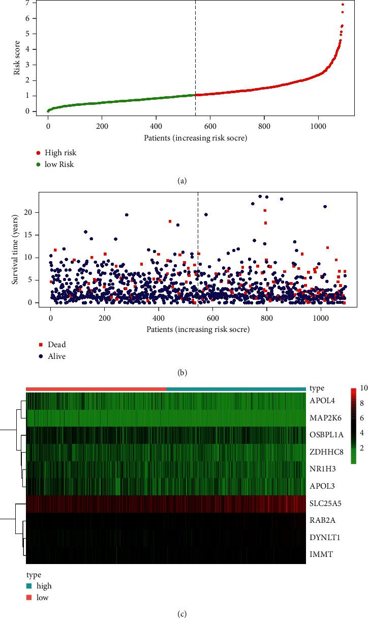 https://cdn.ncbi.nlm.nih.gov/pmc/blobs/0349/9293542/1b81f0ae8141/CMMI2022-8348780.003.jpg