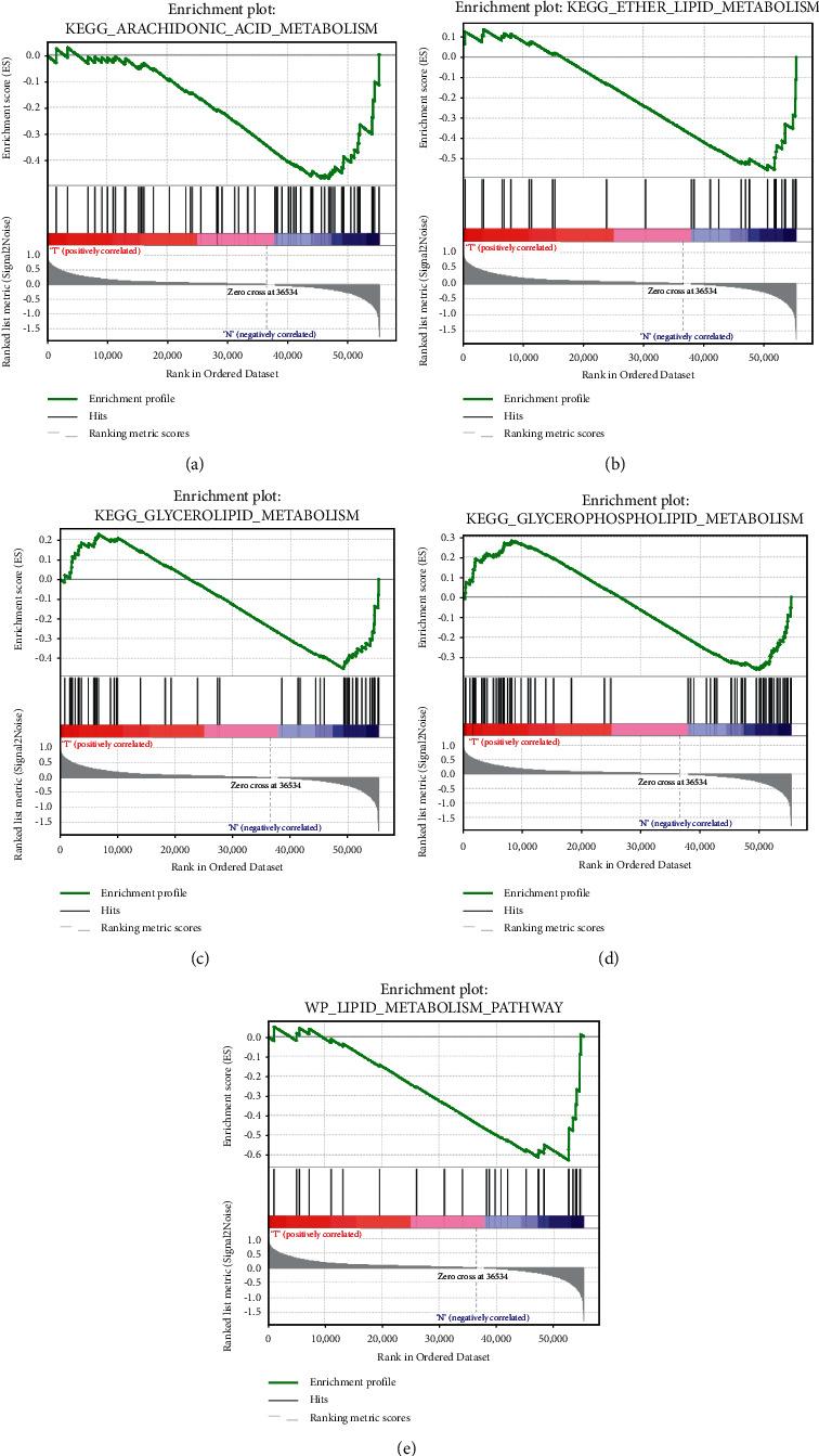 https://cdn.ncbi.nlm.nih.gov/pmc/blobs/0349/9293542/222657207c0f/CMMI2022-8348780.001.jpg