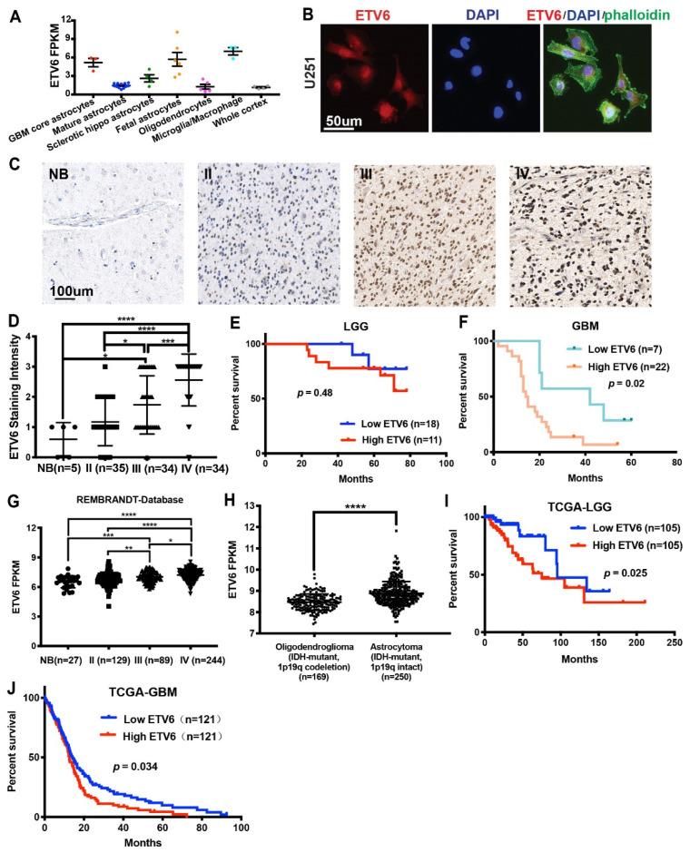 https://cdn.ncbi.nlm.nih.gov/pmc/blobs/0349/9656946/4f192ef96cdc/genes-13-01882-g001.jpg
