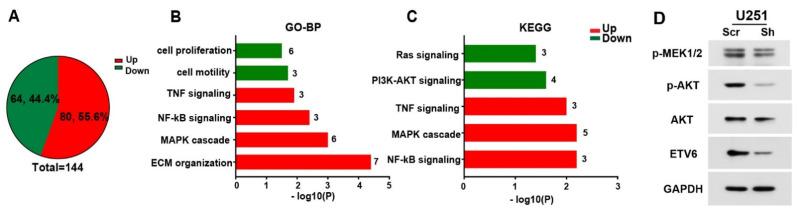 https://cdn.ncbi.nlm.nih.gov/pmc/blobs/0349/9656946/bd94917c51c7/genes-13-01882-g004.jpg