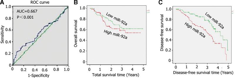 https://cdn.ncbi.nlm.nih.gov/pmc/blobs/034e/9575788/474a16affae4/medi-101-e30970-g002.jpg