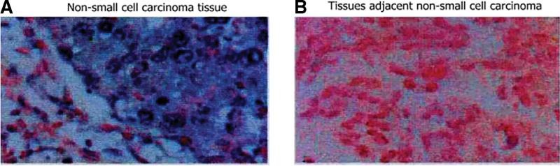 https://cdn.ncbi.nlm.nih.gov/pmc/blobs/034e/9575788/afccfcd2c793/medi-101-e30970-g001.jpg