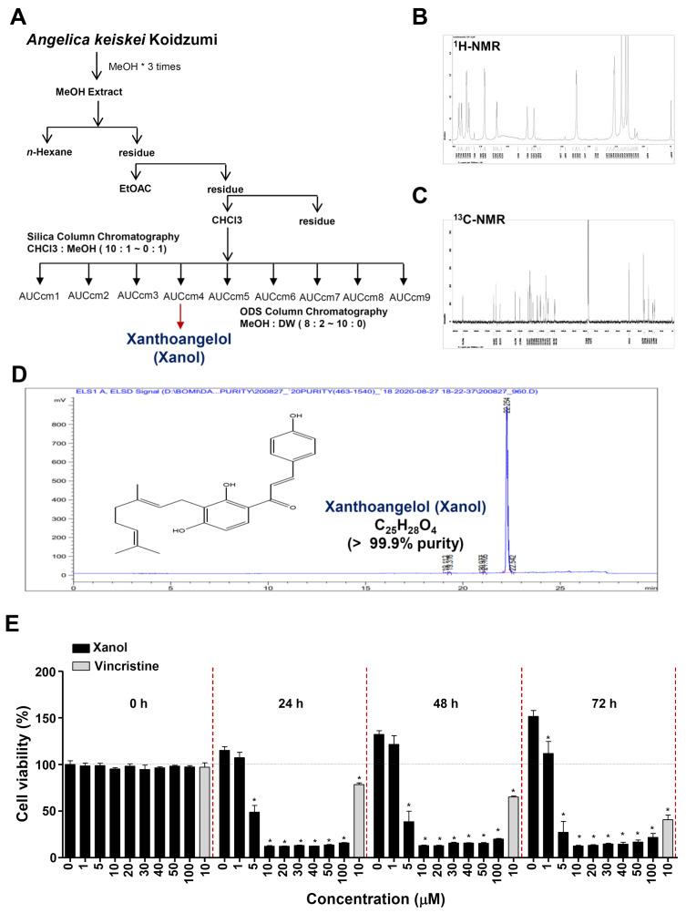 https://cdn.ncbi.nlm.nih.gov/pmc/blobs/034f/10340602/2670a3f2bf61/cells-12-01768-g001.jpg
