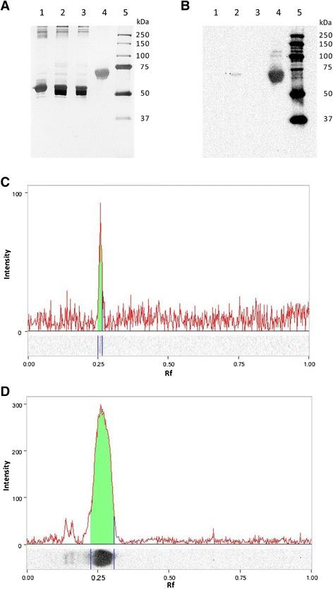 https://cdn.ncbi.nlm.nih.gov/pmc/blobs/0351/4212105/0122e4f12505/12917_2014_251_Fig1_HTML.jpg