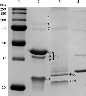 https://cdn.ncbi.nlm.nih.gov/pmc/blobs/0351/4212105/0d86b64cebd8/12917_2014_251_Fig3_HTML.jpg
