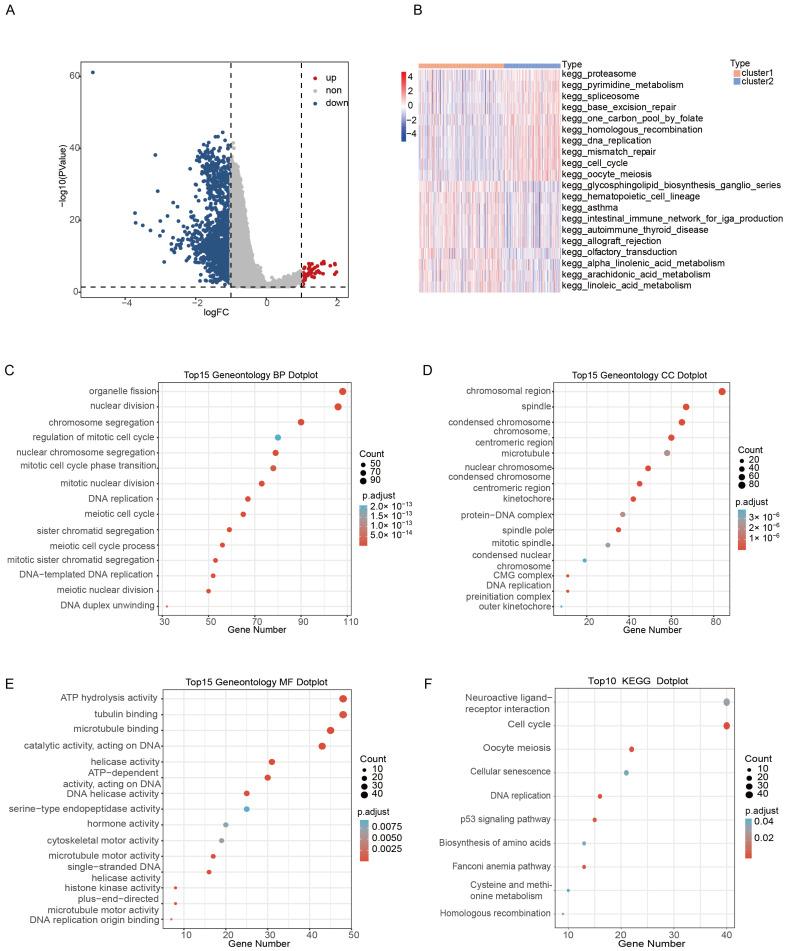 https://cdn.ncbi.nlm.nih.gov/pmc/blobs/0352/10095361/8a8e6cf06ebc/ijms-24-06520-g004.jpg