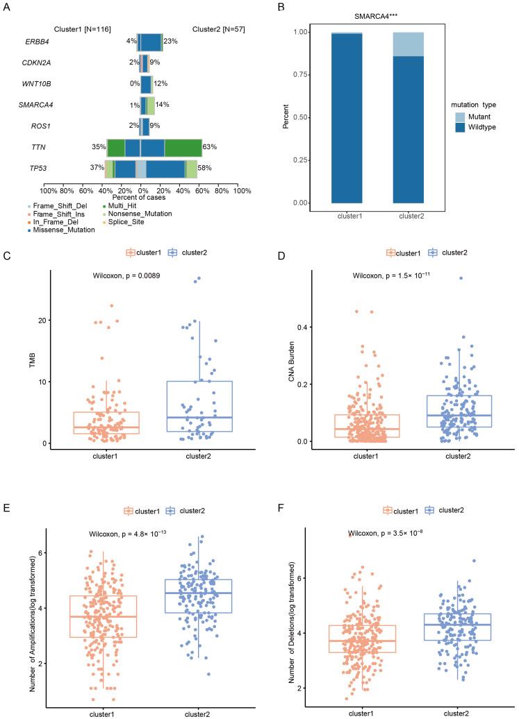 https://cdn.ncbi.nlm.nih.gov/pmc/blobs/0352/10095361/ce7009e58d67/ijms-24-06520-g003.jpg