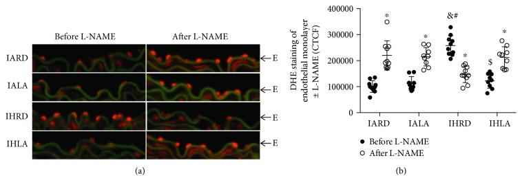 https://cdn.ncbi.nlm.nih.gov/pmc/blobs/0356/6481039/39b7086ea06c/OMCL2019-4093018.004.jpg