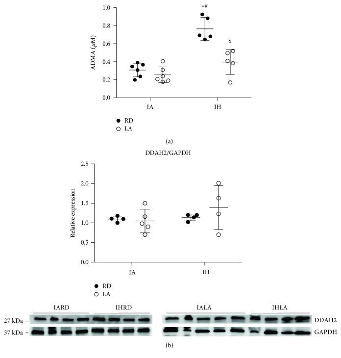 https://cdn.ncbi.nlm.nih.gov/pmc/blobs/0356/6481039/59ae3b4caeac/OMCL2019-4093018.005.jpg
