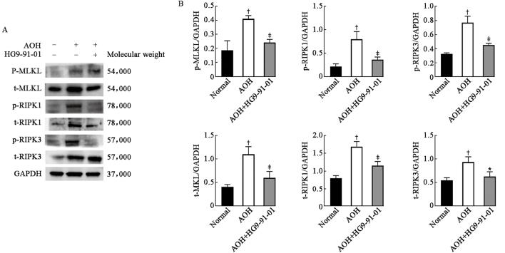 https://cdn.ncbi.nlm.nih.gov/pmc/blobs/0357/11745860/25b7ea2e3759/cm9-138-172-g004.jpg
