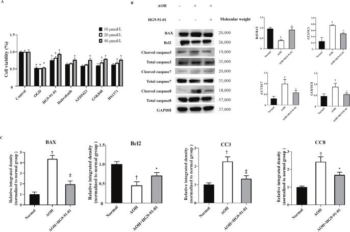 https://cdn.ncbi.nlm.nih.gov/pmc/blobs/0357/11745860/e97ef3bd1a41/cm9-138-172-g002.jpg
