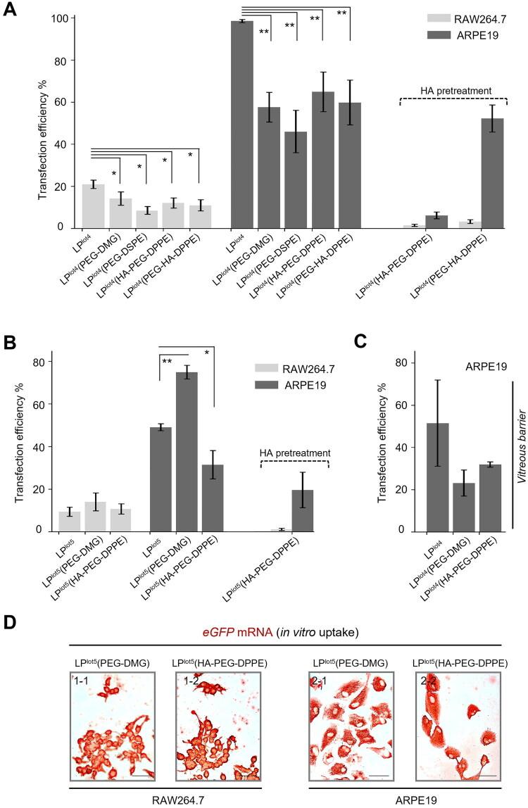 https://cdn.ncbi.nlm.nih.gov/pmc/blobs/0359/12351706/6ee0cd22589a/IDRD_A_2544688_F0002_C.jpg