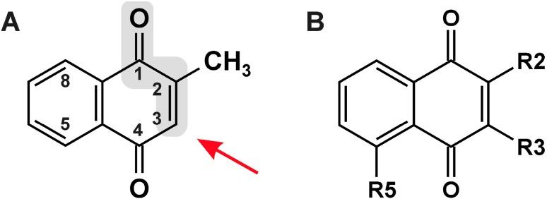 https://cdn.ncbi.nlm.nih.gov/pmc/blobs/035b/6270801/214f26ea8bd0/molecules-19-14902-g001.jpg