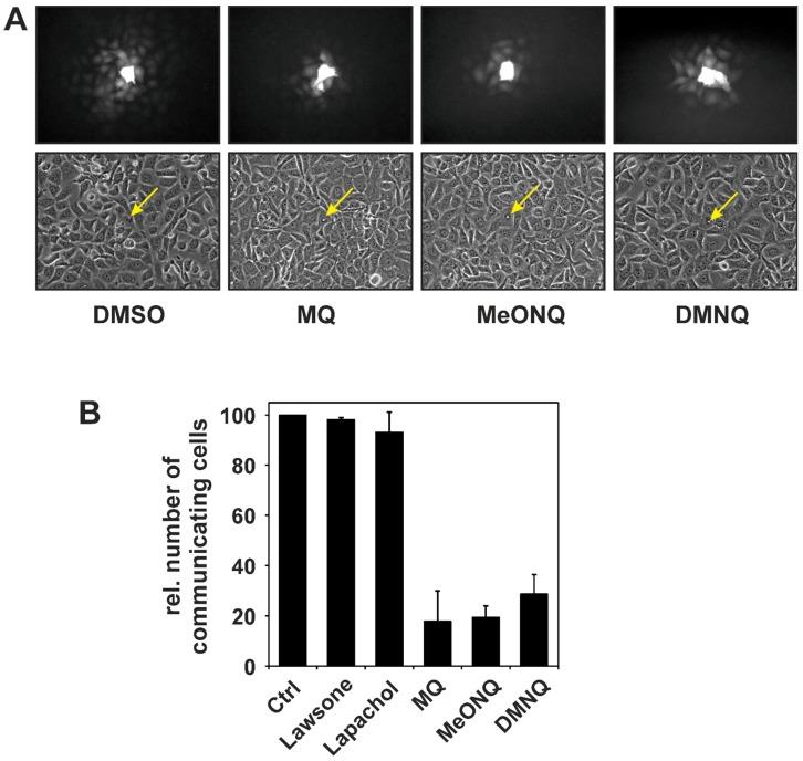 https://cdn.ncbi.nlm.nih.gov/pmc/blobs/035b/6270801/2ce57c952826/molecules-19-14902-g002.jpg