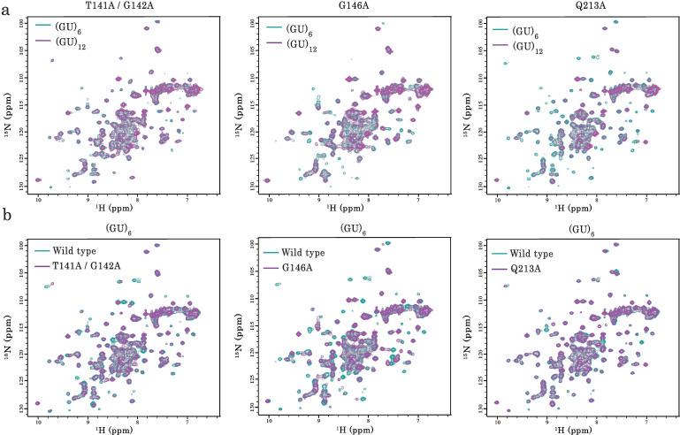 https://cdn.ncbi.nlm.nih.gov/pmc/blobs/035e/8523171/f0869b306e74/elife-67605-fig4-figsupp2.jpg