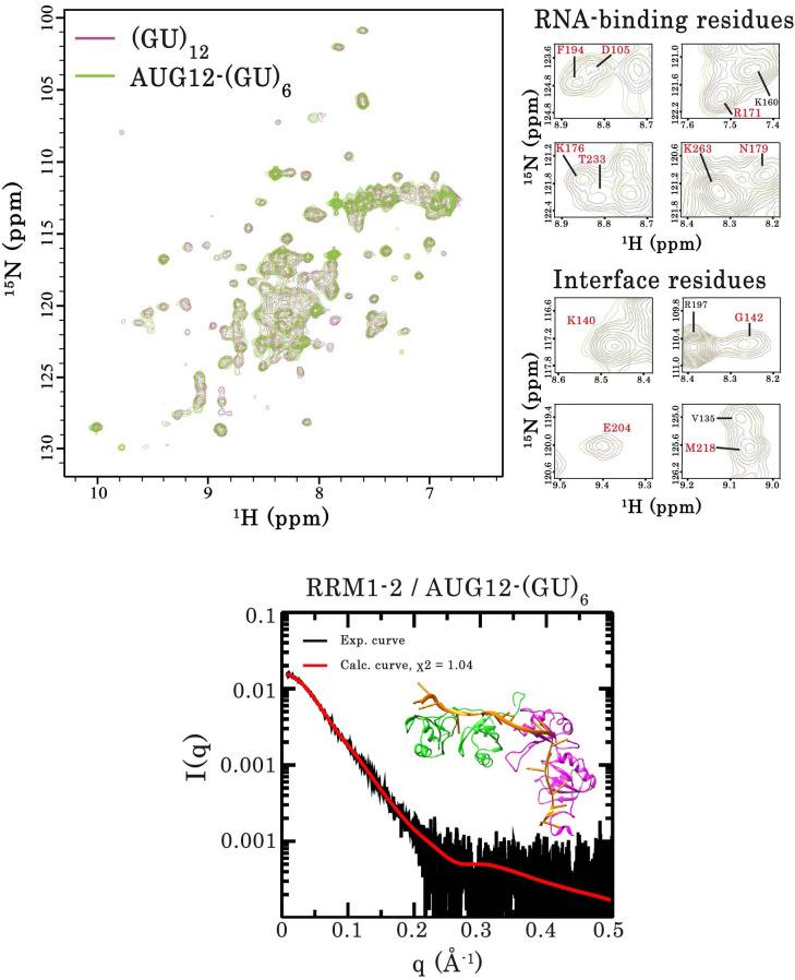 https://cdn.ncbi.nlm.nih.gov/pmc/blobs/035e/8523171/f68332394e80/elife-67605-fig5-figsupp3.jpg