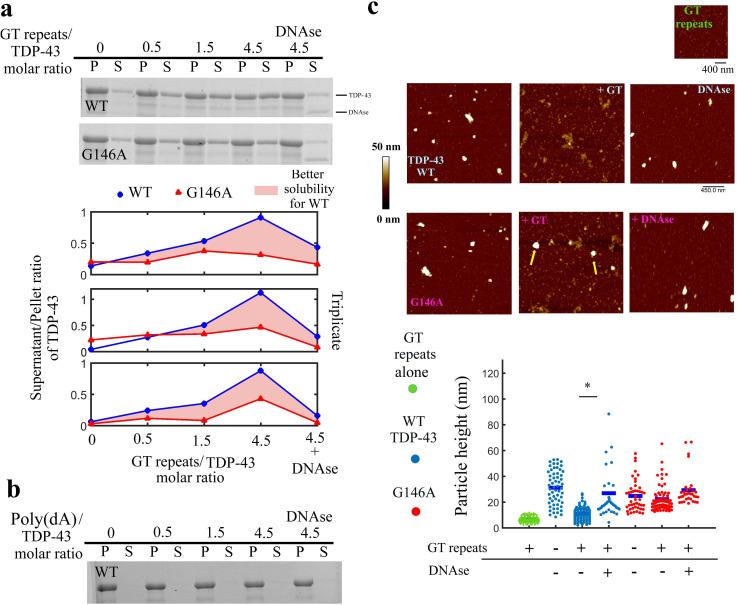 https://cdn.ncbi.nlm.nih.gov/pmc/blobs/035e/8523171/f79ff0db605d/elife-67605-fig6.jpg