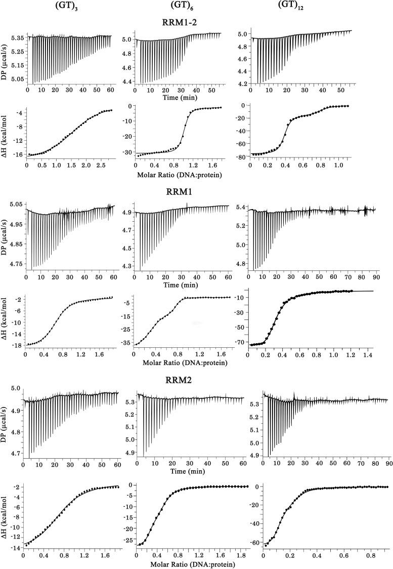 https://cdn.ncbi.nlm.nih.gov/pmc/blobs/035e/8523171/ff02ec02c2f9/elife-67605-fig1-figsupp2.jpg