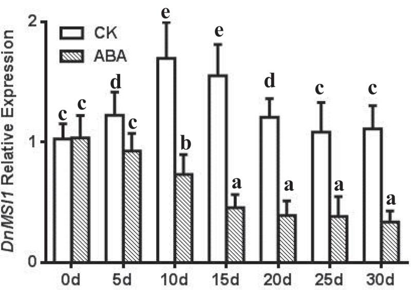 https://cdn.ncbi.nlm.nih.gov/pmc/blobs/035e/9176244/4d6e1caafca8/KPSB_A_2021649_F0007_B.jpg