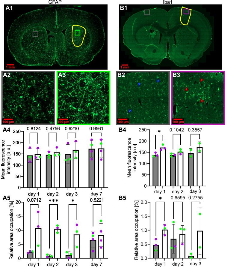 https://cdn.ncbi.nlm.nih.gov/pmc/blobs/035f/11234282/39a19e4ce184/thnov14p4147g009.jpg