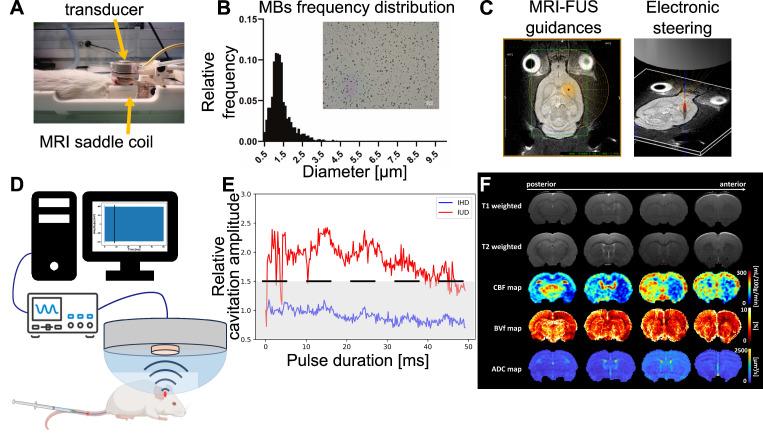 https://cdn.ncbi.nlm.nih.gov/pmc/blobs/035f/11234282/a9edeaaace3b/thnov14p4147g002.jpg