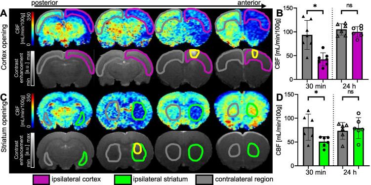 https://cdn.ncbi.nlm.nih.gov/pmc/blobs/035f/11234282/b751950a7d18/thnov14p4147g006.jpg