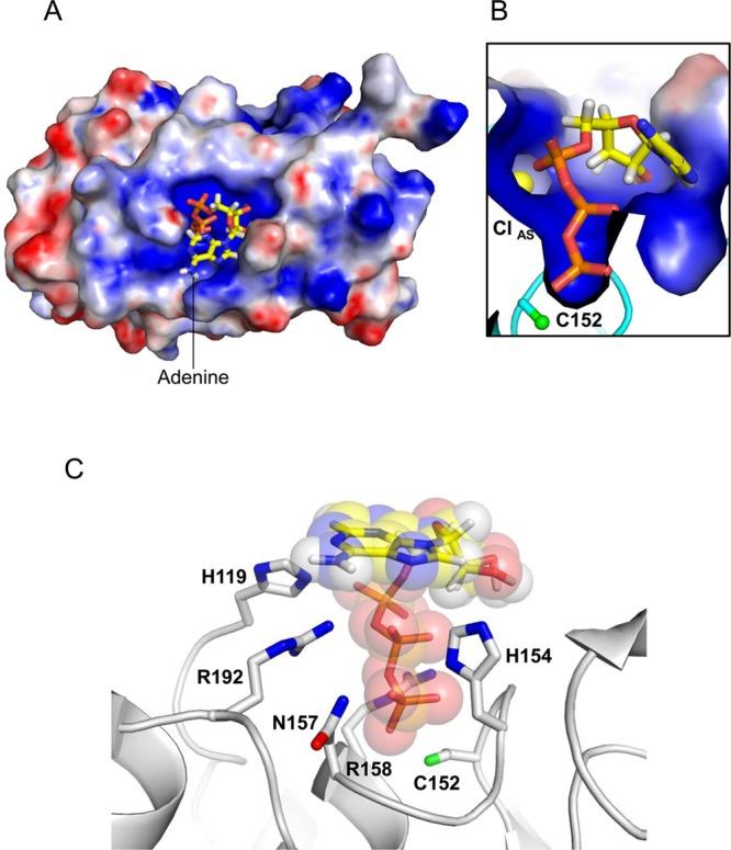 https://cdn.ncbi.nlm.nih.gov/pmc/blobs/035f/3985963/9256772765fa/bi-2013-01240x_0005.jpg