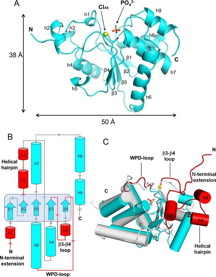 https://cdn.ncbi.nlm.nih.gov/pmc/blobs/035f/3985963/c3326800c94a/bi-2013-01240x_0002.jpg
