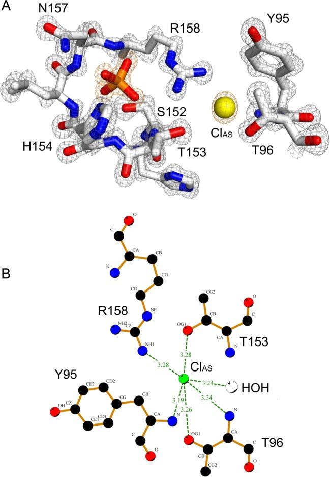 https://cdn.ncbi.nlm.nih.gov/pmc/blobs/035f/3985963/f90b590407e0/bi-2013-01240x_0004.jpg