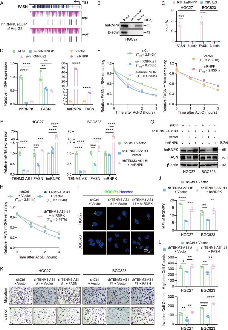 https://cdn.ncbi.nlm.nih.gov/pmc/blobs/0361/12142828/c1d5848a418e/12943_2025_2341_Fig6_HTML.jpg