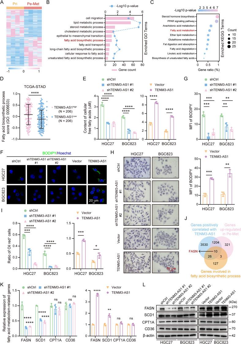 https://cdn.ncbi.nlm.nih.gov/pmc/blobs/0361/12142828/c76c5682b994/12943_2025_2341_Fig4_HTML.jpg